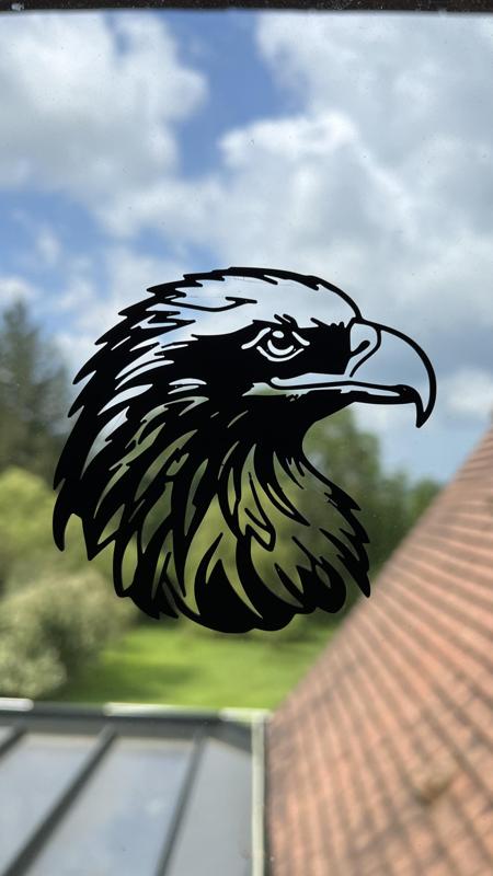 Eagle Wall Art #3