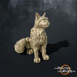 Sitting Cat