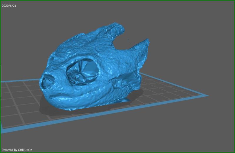 Snapping Turtle Skull