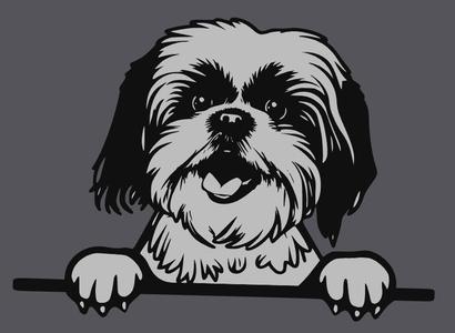 2 D Bild eines Shi Tzu Hundes