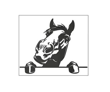 Peeking Horse