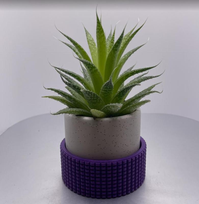 Small Cactus Drainage Pot