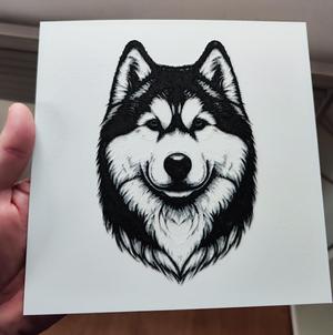 Siberian husky with blue eyes