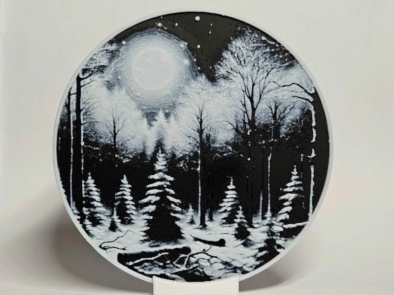 Winter Night Coaster