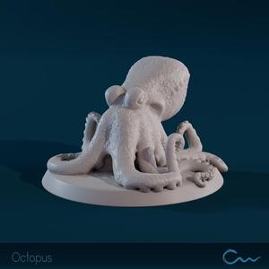 Octopus