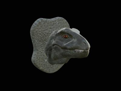 t-rex head trophy on the wall / two faces / dinosaur