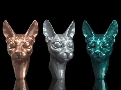 Cat sphynx
