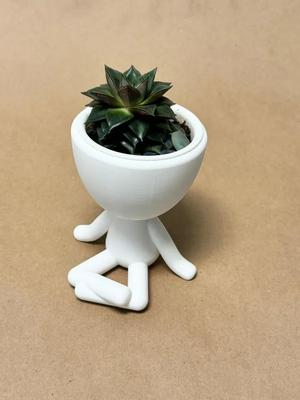 Robert Planter Insert   