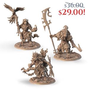 Warriors of Pride set