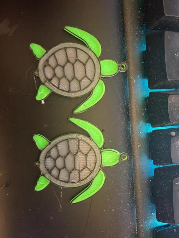 Sea turtle earrings   