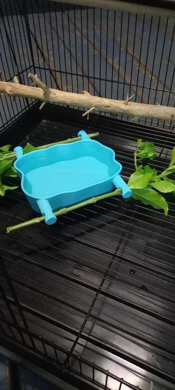 Bird water bowl and feeder   