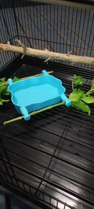 Bird water bowl and feeder   