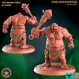 Ogre Brute 1head Attack