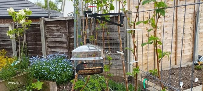 Wire Fence Bird Feeder Bracket   