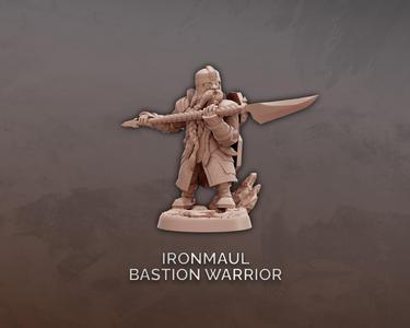 Ironmaul Bastion Warrior - Dwarf