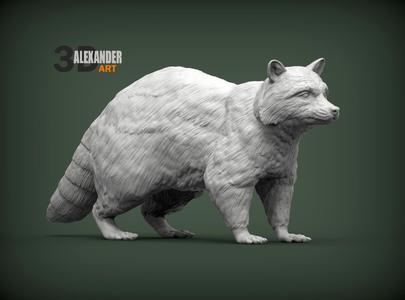 Raccoon 3D print model