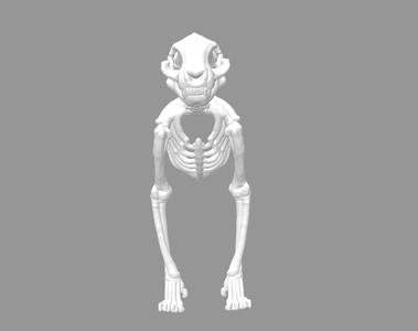 Improved thicker cat skeleton