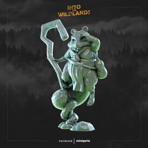 Tanuki Adventurer - No Hat