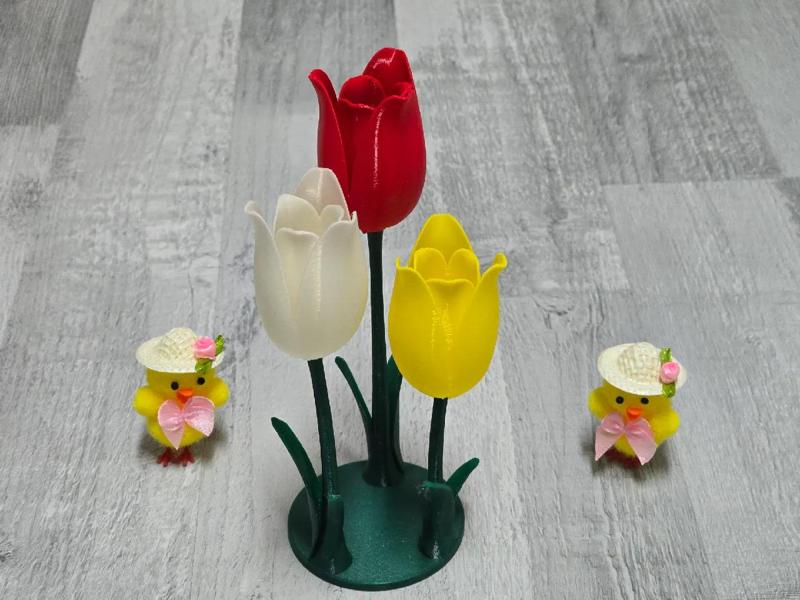 Trio de tulipes   