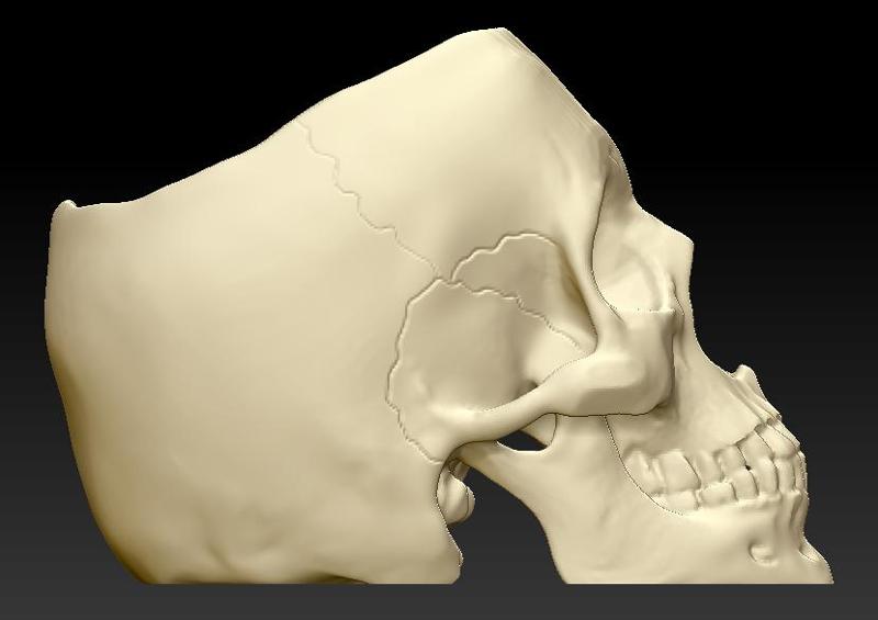 Skull Planter [EN]Skull Planter [ESP] skull planter