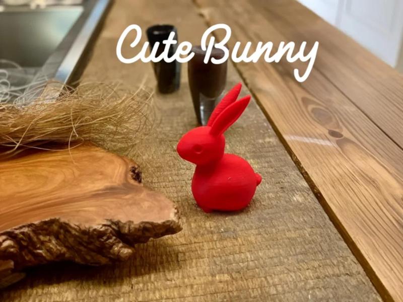 Cute little bunny for easter   