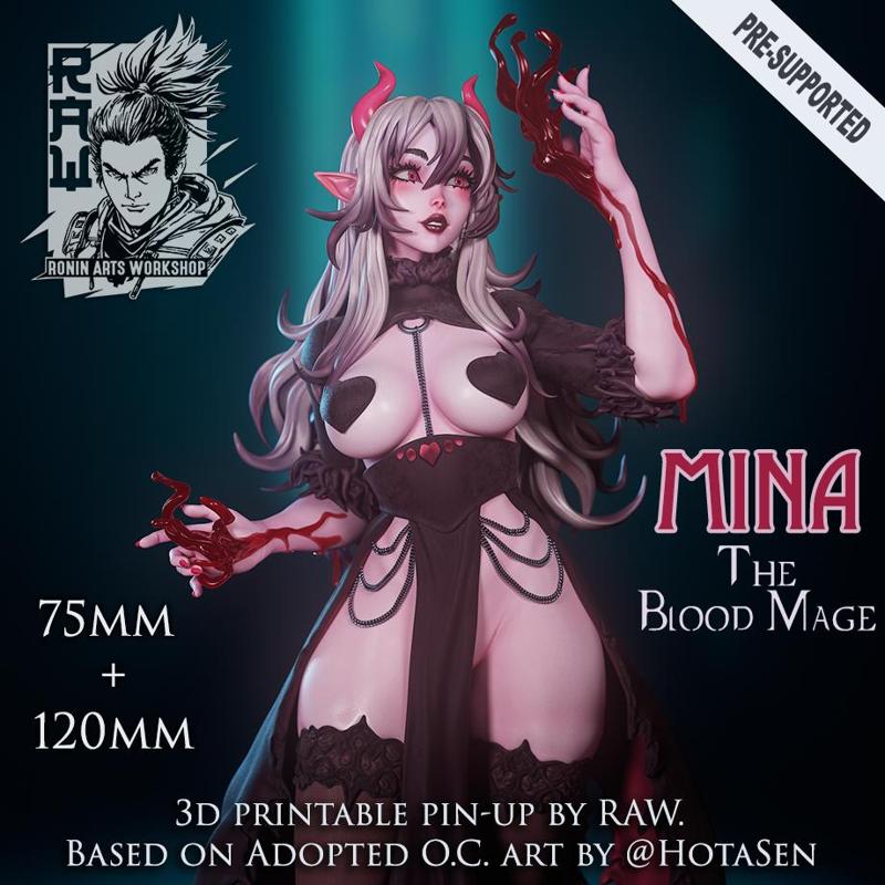 Mina The Bloodmage - 75mm and 120mm Pin Up