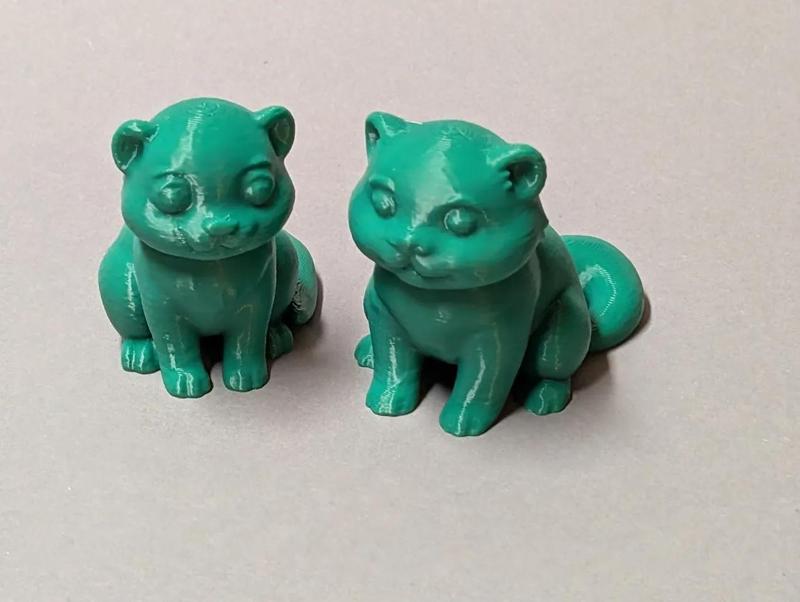 Cute little ferret couple   