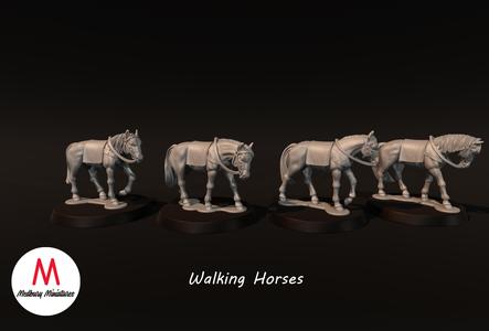 Walking Horses