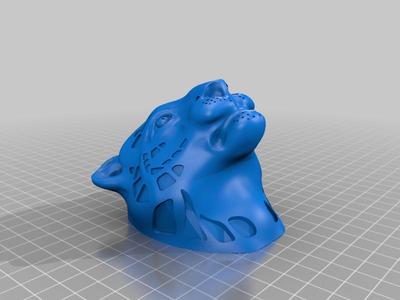Tiger head