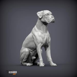 Boxer dog sitting 3D print model