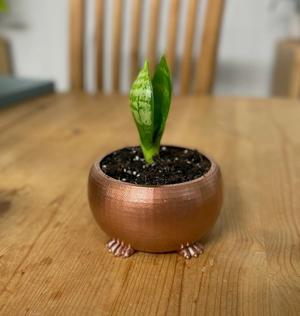 Foot Planter