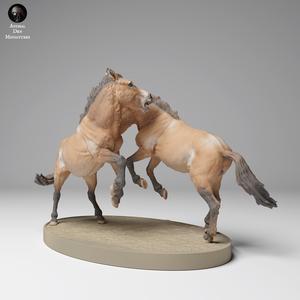 Przewalki s Horses Fight