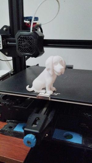 Animal Dog Beagle 3D