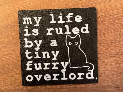 Cat Refrigerator Magnet / Fridge / Pet / Funny 