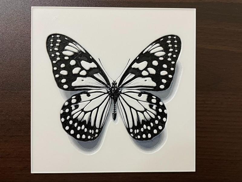 Butterfly Specimens - Realistic Presentation