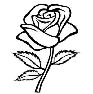 Valentine's rose box