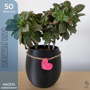 PotB_50