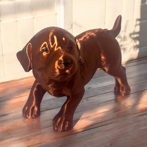 Labrador puppy play