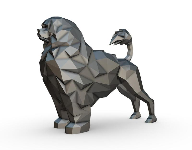 portuguese water dog