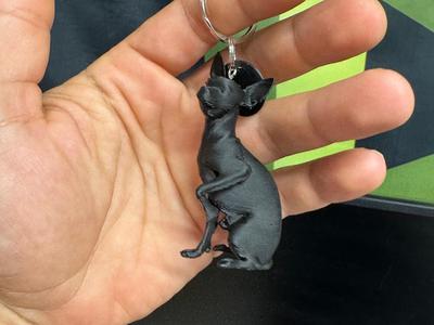 Pincher dog keychain