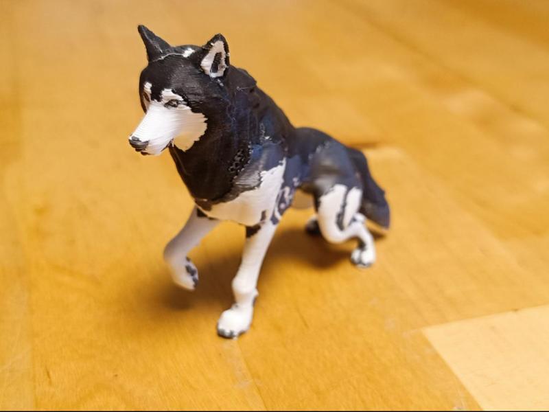 Wolf color