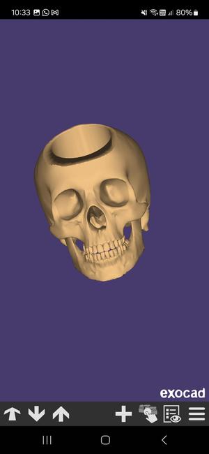 Skull pot