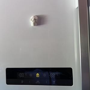 Skull Fridge Magnet