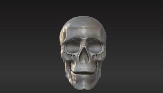 sculpting training head anatomy 2