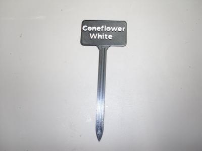 Plant Label White Coneflower