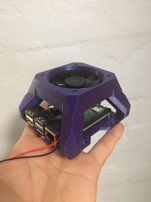 Raspberry pi case Beast