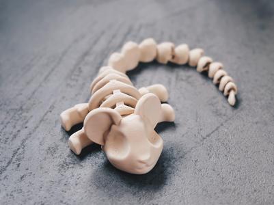 Flexi Mouse Skeleton