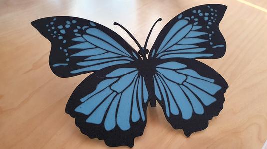 Butterfly MMU / Schmetterling