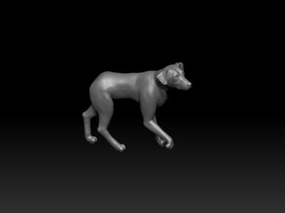 Cute Dog with base