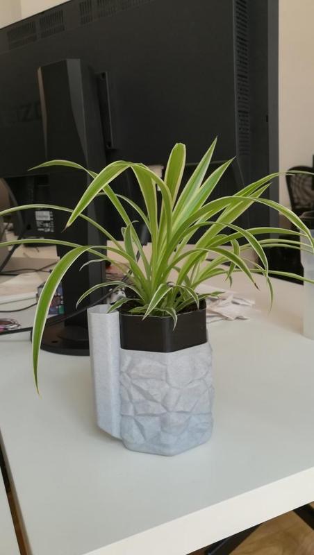 Self Watering Planter - 